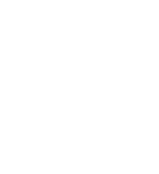 WJ Memorial Rainha da Fronteira